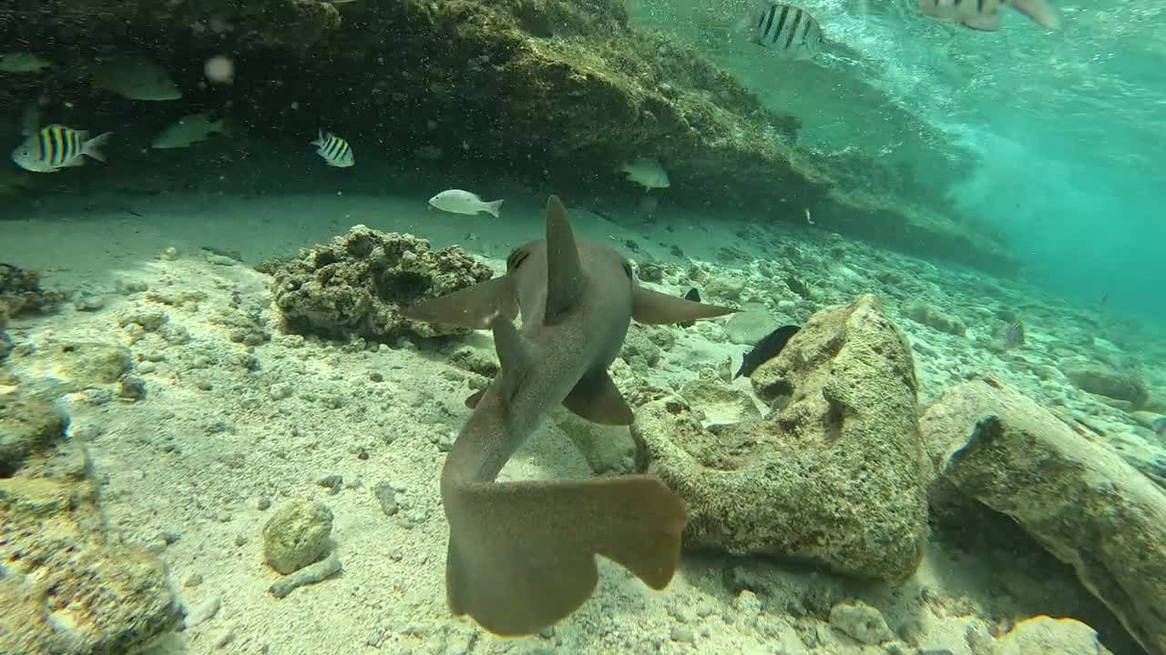 Video de San Andrés