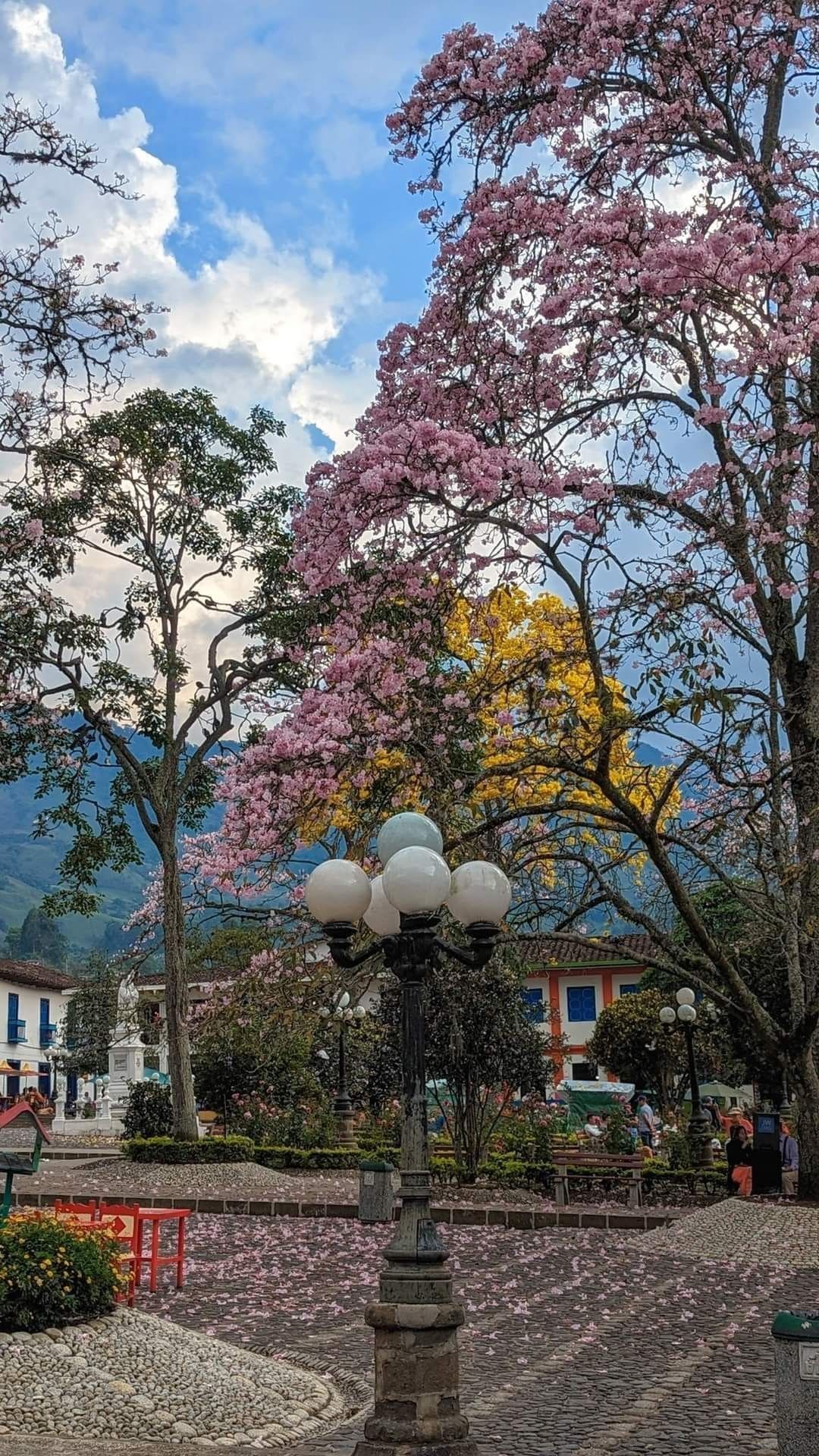 Jardín